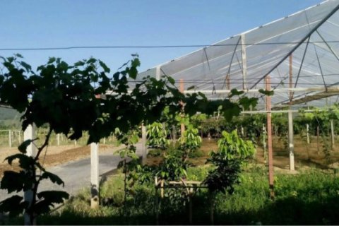 Отель, гостиница с 6 спальнями в Мае Танг, Таиланд №96137 8