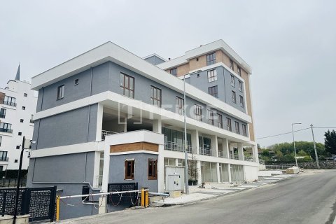 Квартира с 3 спальнями в Phu An, Вьетнам №92398 3