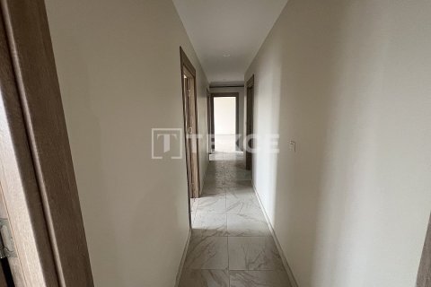 Квартира с 3 спальнями в Phu An, Вьетнам №92398 12