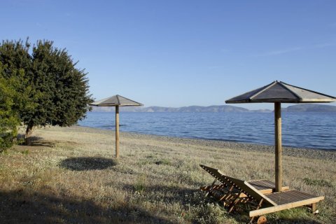 5 dormitorios Villa en Argolis, Greece No. 59166 16