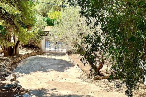 3 dormitorios Apartment en Tan Tru, Vietnam No. 83753 6