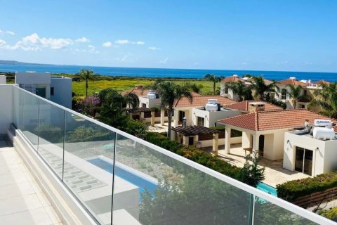 Дом с 3 спальнями в Пафос, Кипр №37338 2