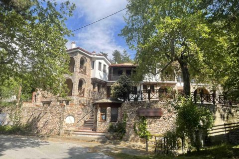 560m² Hotel in Thasos, Greece No. 60453