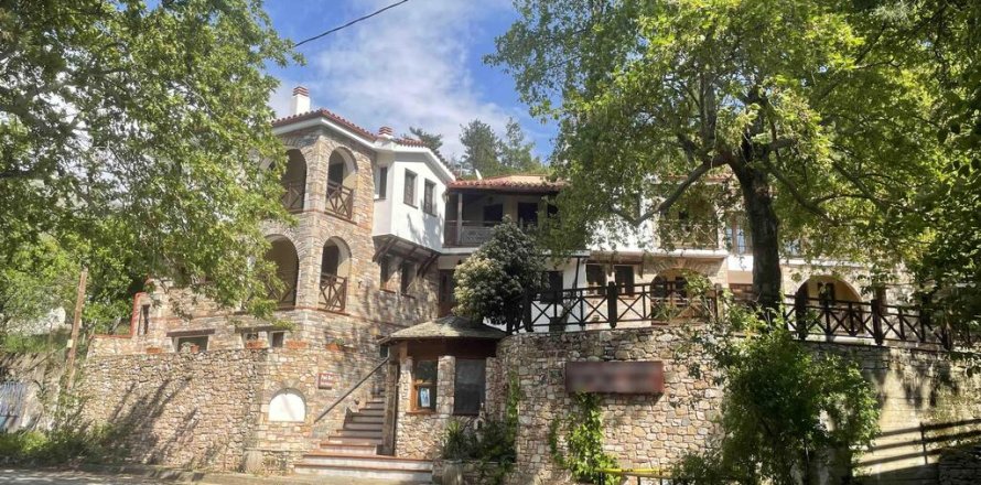 Отель, гостиница 560м² в Тасос, Греция №60453
