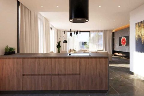 3 bedrooms House in Pegeia, Cyprus No. 100470 10