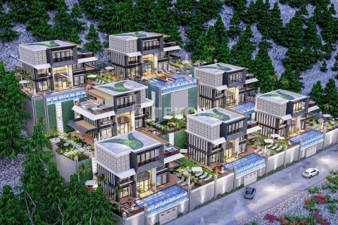 5 dormitorios Villa en Chau Lang, Vietnam No. 16600 10