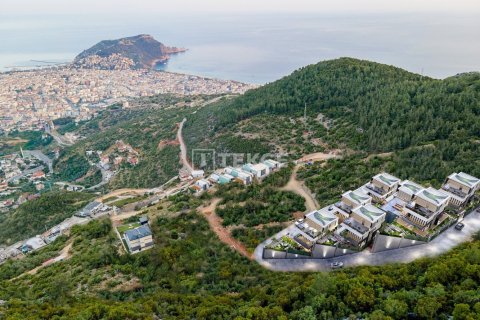 5 dormitorios Villa en Chau Lang, Vietnam No. 16600 8