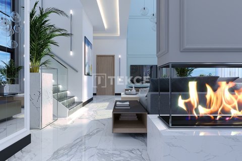 5 dormitorios Villa en Chau Lang, Vietnam No. 16600 26