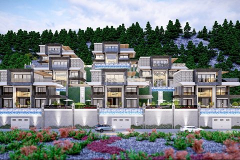 5 dormitorios Villa en Chau Lang, Vietnam No. 16600 2