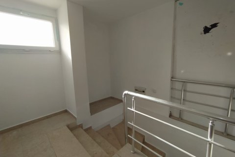 3 bedrooms Penthouse in Phong Thanh Tay A, Vietnam No. 14707 11