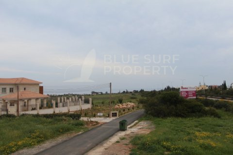 5 bedrooms Villa in Protaras, Cyprus No. 36588 24