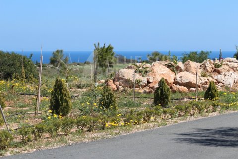 5 bedrooms Villa in Protaras, Cyprus No. 36588 26