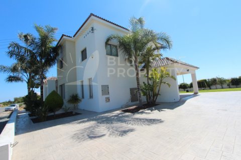5 bedrooms Villa in Protaras, Cyprus No. 36588 27