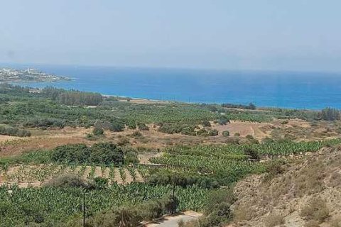 3 bedrooms House in Kissonerga, Cyprus No. 31135 16