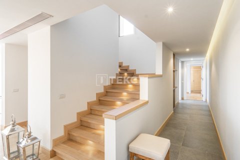 6 chambres Villa à Phi Dien, Vietnam No. 42298 19