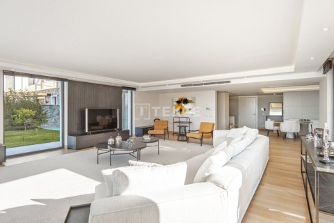 6 chambres Villa à Phi Dien, Vietnam No. 42298 13