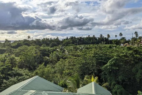 12 chambres Commercial property à Portsmouth, Dominica No. 66261 8