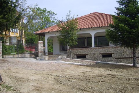 Готовый бизнес 240м² в Пиерия, Греция №60364 5