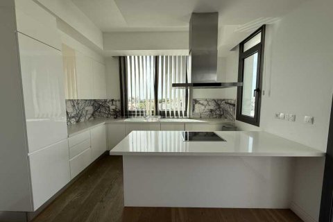 3 bedrooms Penthouse in Germasogeia, Cyprus No. 102108 2