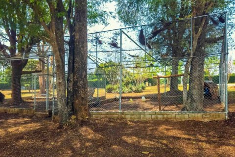 8 bedrooms House in Chiang Mai, Thailand No. 98249 15