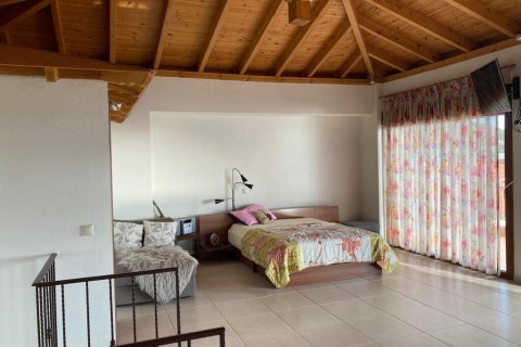 Дом с 1 спальней в Халкидики, Греция №107451 8