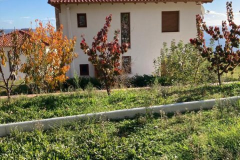 Дом с 1 спальней в Халкидики, Греция №107451 29