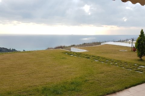 Дом с 1 спальней в Халкидики, Греция №107451 25