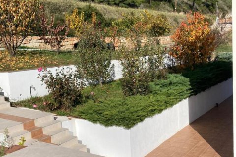 Дом с 1 спальней в Халкидики, Греция №107451 21