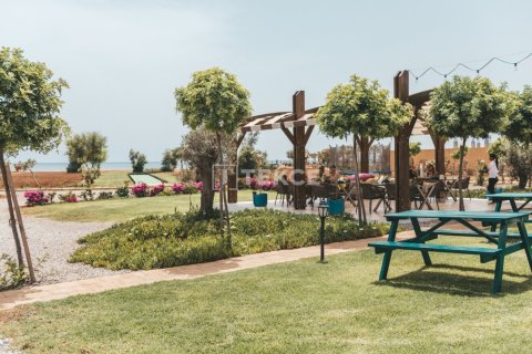 2 bedrooms Penthouse in Vinh Hoa, Vietnam No. 20868 10