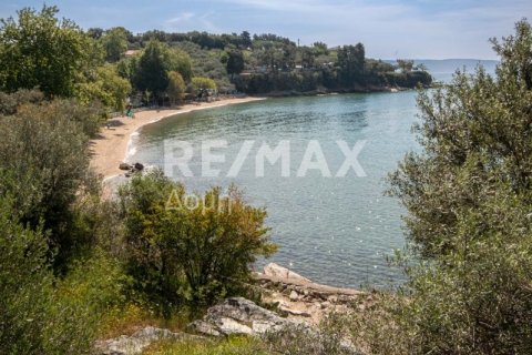 3 bedrooms House in Magnesia, Greece No. 104636 18