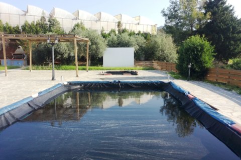 4 bedrooms Villa in Paphos, Cyprus No. 105578 12