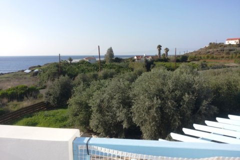 4 bedrooms Villa in Paphos, Cyprus No. 105578 13