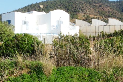 4 bedrooms Villa in Paphos, Cyprus No. 105578 14