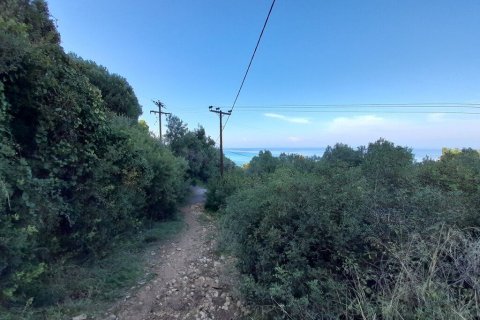 Земельный участок 2704м² в Халкидики, Греция №56169 3