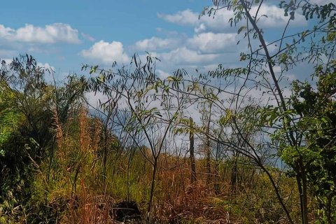 6637m² Land in Saint Joseph, Dominica No. 66292 3