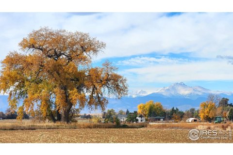 6.61m² Land in Longmont, USA No. 71297 1
