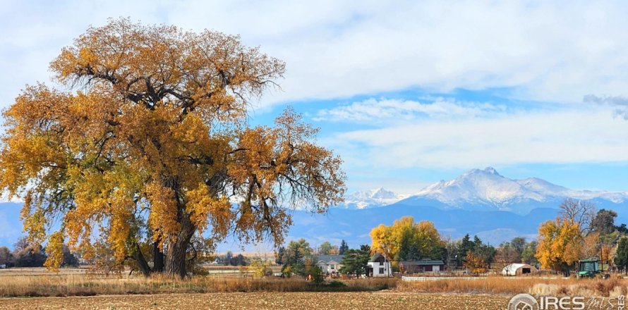 6.61m² Land in Longmont, USA No. 71297