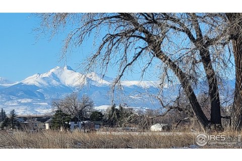 6.61m² Land in Longmont, USA No. 71297 10
