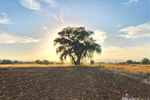 6.61m² Land in Longmont, USA No. 71297 2