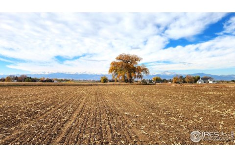 6.61m² Land in Longmont, USA No. 71297 3