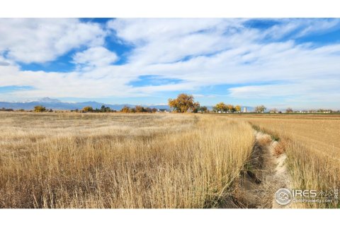 6.61m² Land in Longmont, USA No. 71297 5