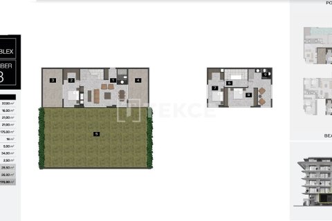 1 bedroom Apartment in Chau Lang, Vietnam No. 11564 2