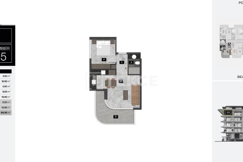 1 bedroom Apartment in Chau Lang, Vietnam No. 11564 4