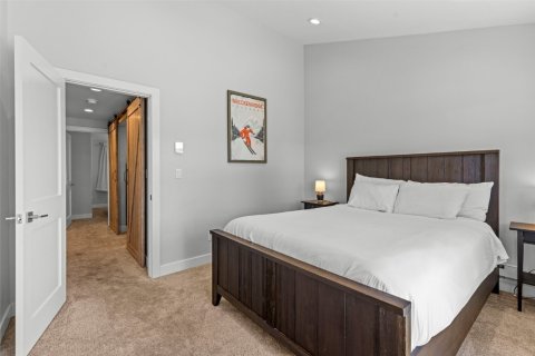 3 bedrooms Townhouse in Breckenridge, USA No. 104619 21