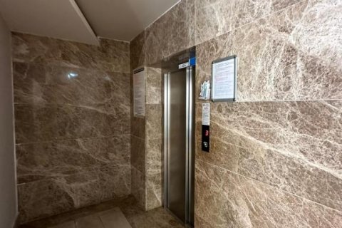 3 rooms Apartment in Tri Phuong, Vietnam No. 21562 11