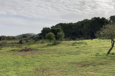 350m² Land in Santanyi, Spain No. 129267