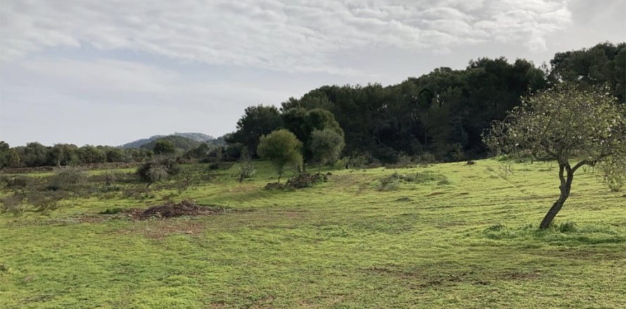 350m² Land in Santanyi, Spain No. 129267