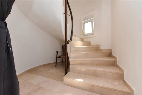 4 rooms Apartment in Lien Chieu, Vietnam No. 21976 8