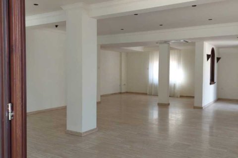 8 bedrooms House in Limassol, Cyprus No. 100547 4