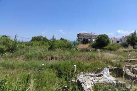 2200m² Land in Chalkidiki, Greece No. 56302 2